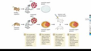 Koch's Postulates || #microbiology #csirnet