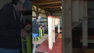 Farm chronicles:  chicken coop update- framing