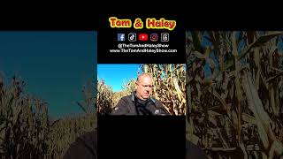 Creepy Scary Clown In Corn Maze From Hell Promo Short The Tom & Haley Show S23-W #Shorts #clown