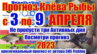 Прогноз клева рыбы на Эту неделю с 3 по 9 Апреля Календарь рыбака на Апрель Лунный календарь рыбака