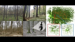 Evaluation and Deployment of LiDAR-based Place Recognition in Dense Forests