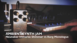 Ambient Synth Jam // Neunaber Immerse Shimmer vs Korg Monologue