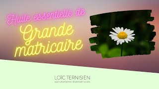 Propriétés de l'huile essentielle de Grande matricaire