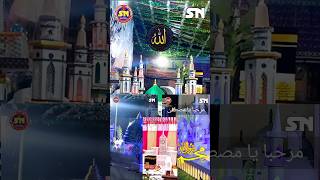 LabbaikYaRasoolallah لبیک یا رسول اللہ #islamicshorts #youtubeshorts #trending #explore #shortvideo