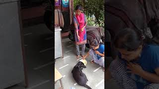 Geeta's Message in Sign language to love n care Indian Dogs