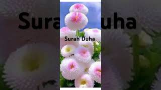 Surah Duha | solve all the problems by listening to peaceful surah Zuha سورۃالضحٰی