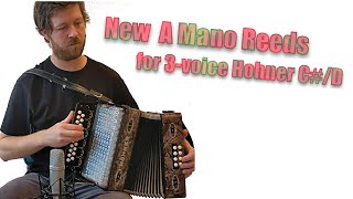 A Mano reeds for 3-voice Hohner in C#D - Devanney's Goat/Crehan's - Accordion Doctor