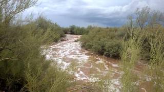 apache wash near apache wash trailhead psp 8/2/2016