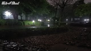 조용한 밤 빗소리 ASMR로 힐링하세요. 금방 잠이 들 거에요 . 불면증 완화에 좋은 비소리 백색소음 | 수면유도 자장가