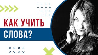 Самый кайфовый способ учить иностранные слова / Пополнение словарного запаса