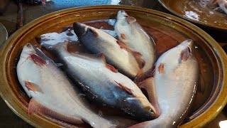 Alive Fish market | Wholesale Big Fish Market | Amazing Alive Fish 🐟 Market In Village