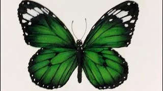 Painting a Butterfly. Dipingere una Farfalla.