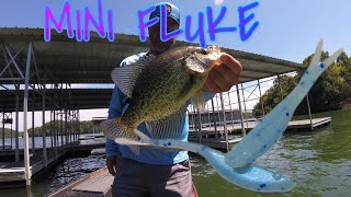 CATCHING SLABS on a FLUKE!!??