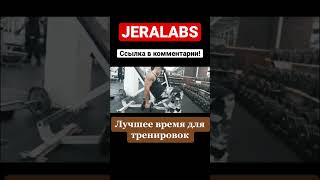 Лучшее время для тренировок