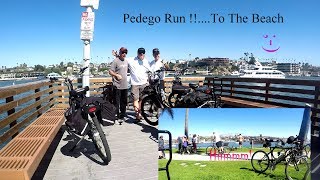 Pedego Run.... To The Beach..... Another Cheese 'n Cracker  Video