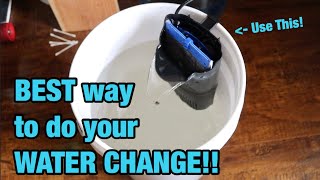 FISH TANK WATER CHANGE (EASY VERSION)