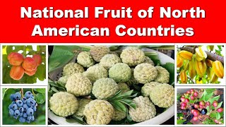 National Fruit of North American Countries || DAG12663