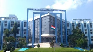 TANUVAS 2023|B.V.Sc 3rd round seat Allotment|TamilNadu Veterinary college open date|B.Tech DairyTech