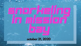 TOURIST SIGHTS: Snorkeling in Mission Bay in October 2020 | Catching Some Underwater Birthday Time!!