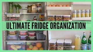 EXTREME Refrigerator Organization Ideas - How To Organize Your Fridge & Freezer