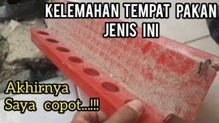 AKHIRNYA...!!! Saya Mencopot Tempat Pakan Plastik Corong, Mengapa...???