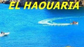 برنامج الصيد البحري haouaria tunisie plage🇹🇳🧭⚓⛵🎣