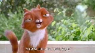 סוכנות שחקנים ליטוין - ליאור מיכאלי - תאגיד תמיר