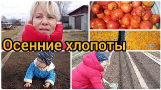 Домашне-деревенский влог/Чеснок под зиму/Заготовки на зиму/Сушка овощей/Вот так развлекаемся