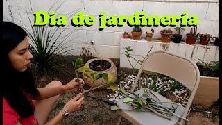 Día de jardín| Planté las flores del desierto por esqueje| Tour de invierno