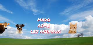 Diffusion en direct de Mado Aime Les Animaux