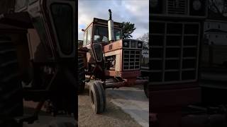 Feeding Cows! #farming #agriculture #tractor #beef #feed #caseih