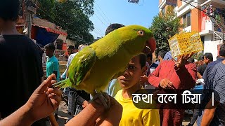 অসাধারণ কথা বলে টিয়া | মিরপুর ১ পাখির হাট | Mirpur Pakhir Hat 2022 | birds Price in Bangladesh