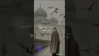 لجپال نبی میرے درداں دی دوا کرنا#youtubeshorts#islamiqoutes#islamicstatus#viralvideo#urdupoetry💯💯💯💯