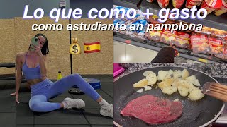 lo que como + gasto un dia en Pamplona II cuales son mis gastos como estudiante? (piso, comida, gym)