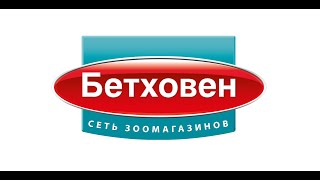 Купоны Бетховен на скидку в зоомагазине и акции 🔥 Bethowen промокод на сегодня!