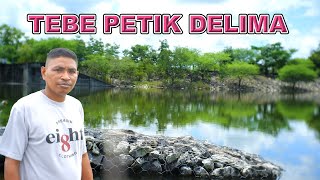 TEBE PETIK DELIMA (cover) || Rinto Nine || Cipt.Johan Alupan || Lagu Timor Terbaru