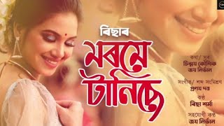 Morome Tanise//Richa Bharadwaj//Assamese trending song