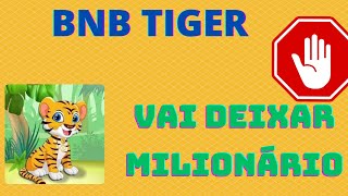 BNBTIGER EM: 10191.59% OU É FURADA? PODE EXPLODIR AINDA? FAZER NOVOS MILIONÁRIOS?