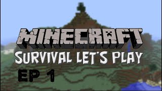 A new Beginning Minecraft survival gameplay #minecraft #javaeditionminecraft