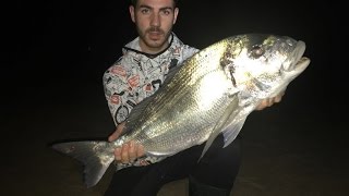 SURFCASTING DORADA XL 4,200KG PESCA PLAYAS DE CADIZ LIMASURFCASTING BIG FISH ORATA