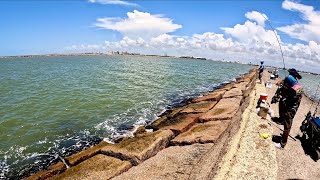 Freeport Surfside Jetty - Fishing Updates. July 8, 2023