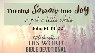 Turning Sorrow into Joy, in Just a little while | John 16:19-22  Daily Devotional