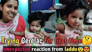 Laddu'க்கு Cerelac கொடுத்தோம்😬 | Unexpected Reaction from laddu😋 | Galatta couples