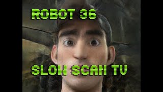 0066 Toonify SSTV Robot36