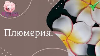 Master class Плюмерия. Plumeria.