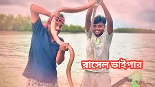 মাছ ধরতে গিয়ে ধরা পড়ল রাসেল ভাইপার সাপ