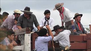 JINETEADAS DE VACUNOS, MONTAS FESTIVAL DEL TERNERO SAUCEÑO #RODEO #RURAL #TERNEROS #BULL #CANAL #PBR