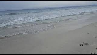 Radha Nagar Beach in Havelock island andaman