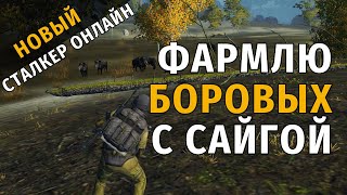 8. Фармлю боровых с сайгой. Новый Сталкер Онлайн, СПБ сервер.