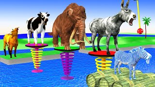 Water bubble game challenge Cow Elephant Donkey Lion Monkey Zebra Goat turns in triple who will win